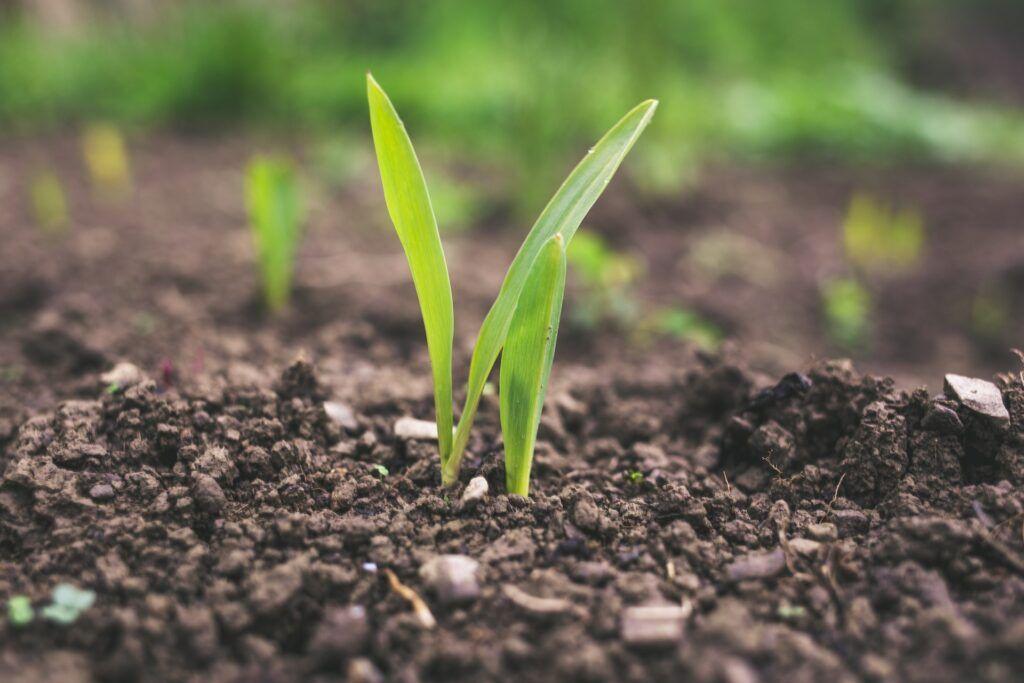 Header-1024x683.jpg